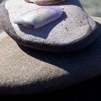 Hassani Rida's Photo