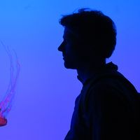 Neuville Rémy's Photo