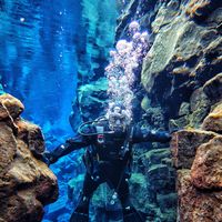 Karthik Manu's Photo