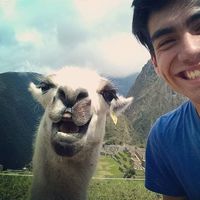 Tomás Galván Alférez's Photo