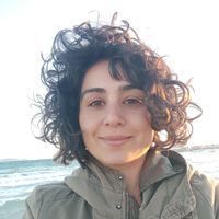 Niloofar Hosseini的照片