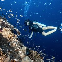 Anna Charlotte的照片