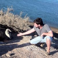 Photos de Laureano Onaerual