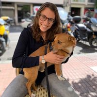 Photos de Joanna Johnson