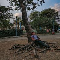 Mario Figueroa的照片