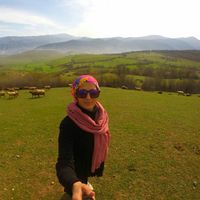 Azarm Ebrahimi Saravi的照片