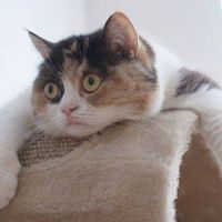 Fotos de Nguyen Huong