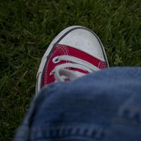 Tanja Schoene's Photo