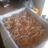 Olga Kamina的照片