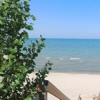 Said Aliogullari's Photo