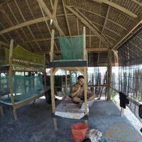 Nick de Haas's Photo