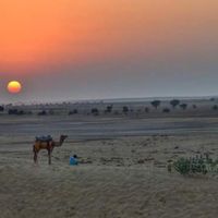 Jamil desert's Photo