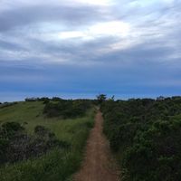 Fotos de Jamie Brown