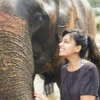 Zdjęcia użytkownika Diajal Solanki