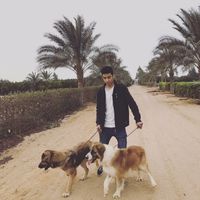 Abdalla Munir的照片