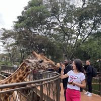 Melike Güzel's Photo