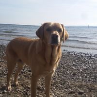 Fotos de Carsten Tschampel