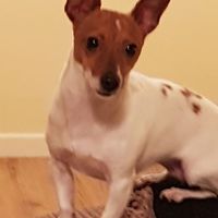 Oliver Spellissy's Photo