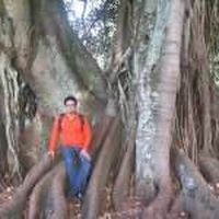 Javad Khazaei's Photo