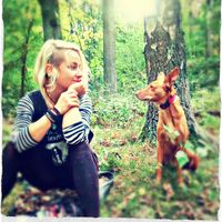 Artistanajista的照片