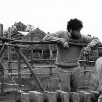 Le foto di Ivan Navi