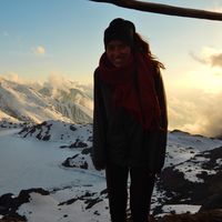 Le foto di Helena Marine