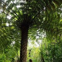 Travis Dacombe的照片