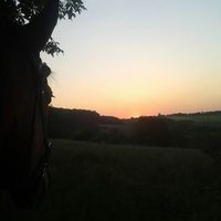 Franziska G.的照片