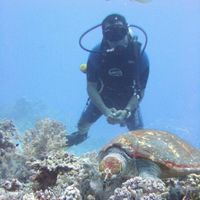 Baher Farag的照片