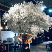 Sofhea Billie的照片