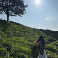 Fotos de Divya Thakur