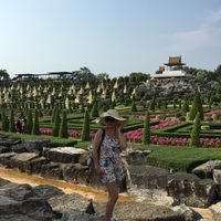 Mansoureh Babereh的照片