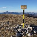 Hiking mt. Guardian with nice surprise的照片