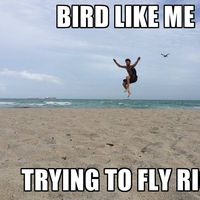 Glen Bradford的照片