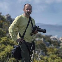 Manolis Nikolakakis's Photo