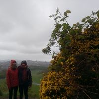 Anna-Lina Fischbach's Photo