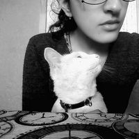 Photos de Laura Willamson