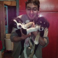 Heldriegel Gaston的照片