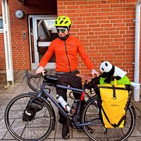 Orlando Goncalves的照片