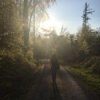 Фотографии пользователя Sarah Dreyer