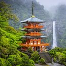 Hiking at Kumano Kodo's picture