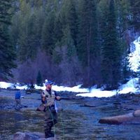 Brad McCague's Photo