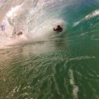 Mountan Lion的照片