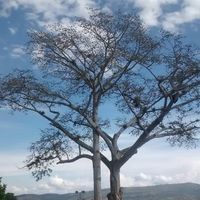 Dani Gómez的照片