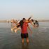Rahul Kumar's Photo