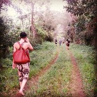 Donya  Alinejad的照片