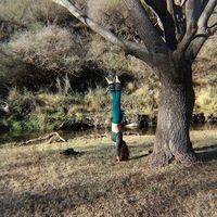 Luz Enlazadora's Photo