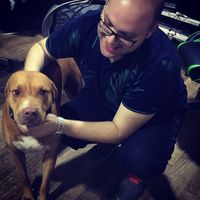 Jamal Atassi的照片