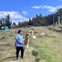 Fernando Foa的照片