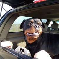 Evelyne Toutcours's Photo